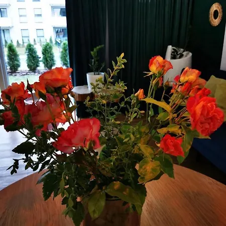 Nadmorski Apartament Apartment